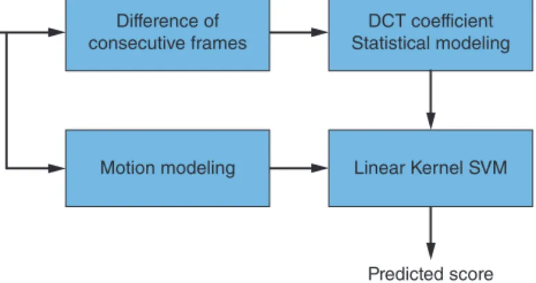 Figure 2: diagram summarizing the Video BLIINdS framework  in Saad and Bovik [12]