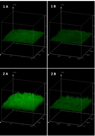 Fig 5. 3D CLSM image showing fluorescence intensity at each image layer, providing a visualrepresentation of surface morphology
