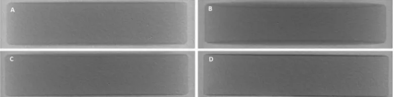 Fig 8. Transverse view of XμCT reconstruction of placebo tablets (13mm) containing contrast material in thecoat