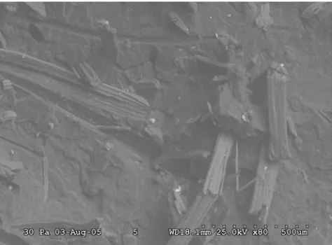 Figure 6. SEM of fracture surface of 5% untreated PPJC. 