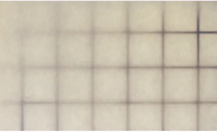 Figure 14   hanji and grid test