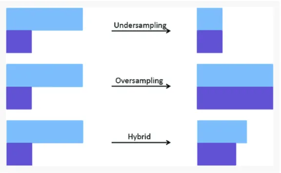 Figure 3. Sampling techniques (Vluymans 2019). 