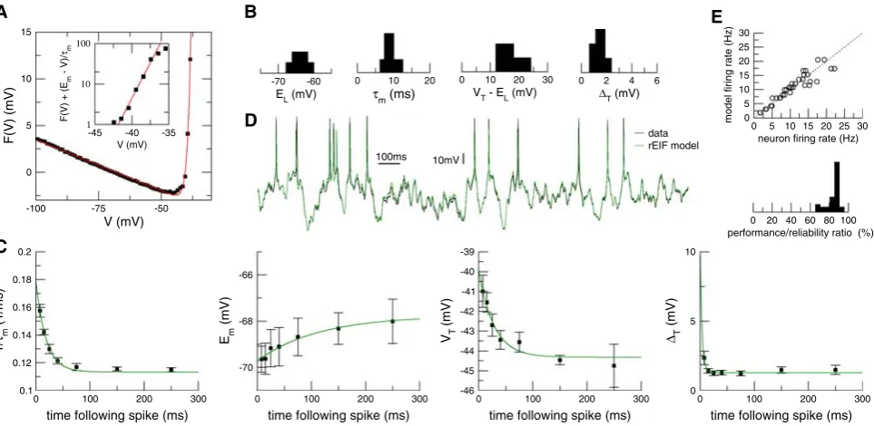 Fig. 3 GABAergiccorticalinterneuronmodelsderivedusingthedyna-mic I–V methodology. a The function F(V ) = −Idyn(V )/C for a fast-spiking interneuron is plotted (symbols) together with the EIF modelﬁt (red)