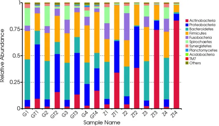 Figure 5: Composition and relative abundance communities based on 16S rDNA sequence in phylum level