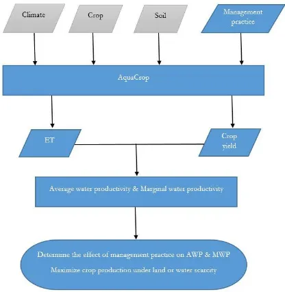 Figure 2.1 Flowchart for determining the average water productivity (AWP), marginal water productivity (MWP), and maximum crop production under land or water scarcity 