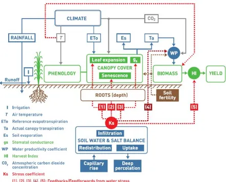 Figure 2.2 Chart of AquaCrop for the main components of the soil–plant–atmosphere continuum and the parameters driving phenology, canopy cover, transpiration, biomass production and final yield
