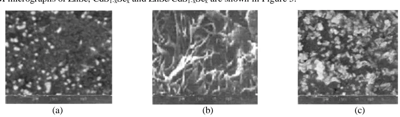 Figure 5.  SEM micrographs of: (a) ZnSe, (b) CdS1-xSex (x = 0.1, t = 1863 nm) and (c) ZnSe/CdS1-xSex (x = 0.1, 1863 nm) window layer photo electrodes
