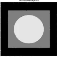 Figure 6, below, shows the reconstructed images from the second stage of the Adaptive Pixel Restorer