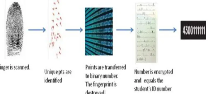 Figure 4:  Fingerprint converted digitally into a template 