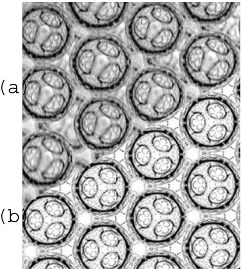 Fig. 2(a) A photograph of the surface of a foam made up of equal-sizebubbles with diameter 200 mm reveals an ordered arrangement of at leastthree layers of bubbles