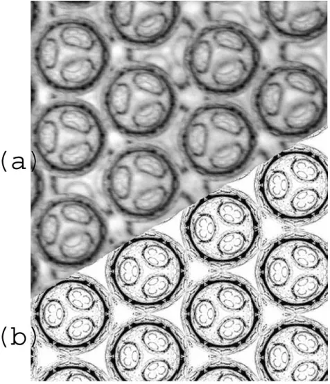Fig. 3(a) Photograph of bubbles consistent with hcp packing, ABA(bubble diameter = 200 mm)