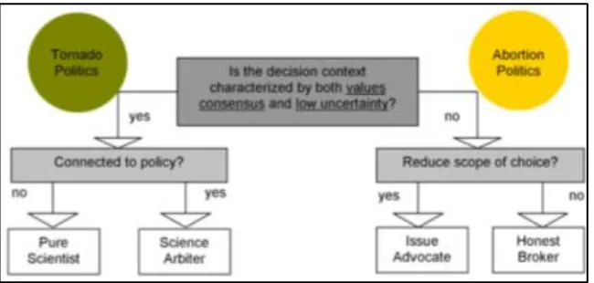 Figure 2: Flow chart illustrating the logic of roles for scientist in policy and politics (Pielke Jr., 2007: 51) 