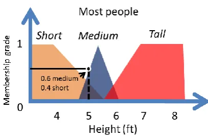 Fig. 5. Membership grades for 5ft height. 