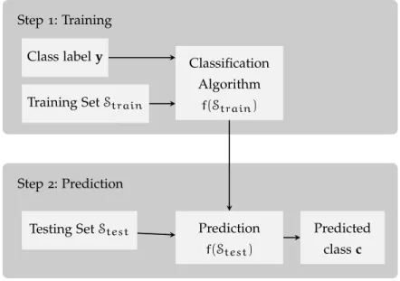 Figure 2.1: Classification process