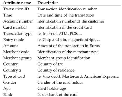 Table 4.2: Summary of typical raw credit card fraud detection features