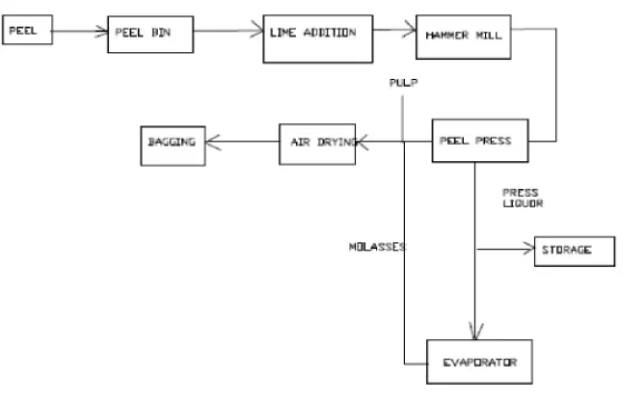 Figure 4: Process flow chart for feed production 