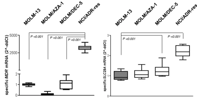 Figure 5: Assay for the MDR1 gene expression.  a. mRNA expression of the MDR1 and SLC29A gene using real-time quantitative  polymerase chain reaction assay