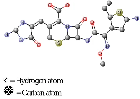 FIGURE (3) : Modified molecule P5 through eq. (3) & (6) 