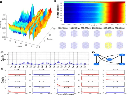 Figure 4. Results for sheep data. (A) Local field potential recorded from 64 channels