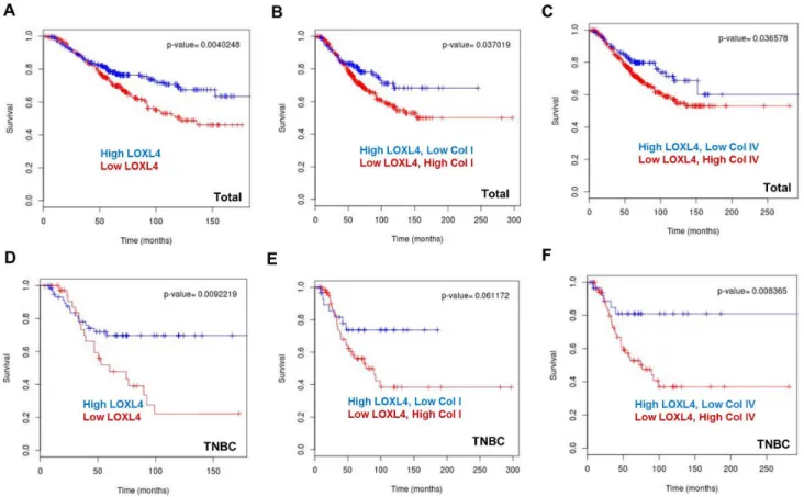 Figure 6: Kaplan-Meier plots of breast cancer patient survival based on LOXL4, collagen I, and collagen IV expression 