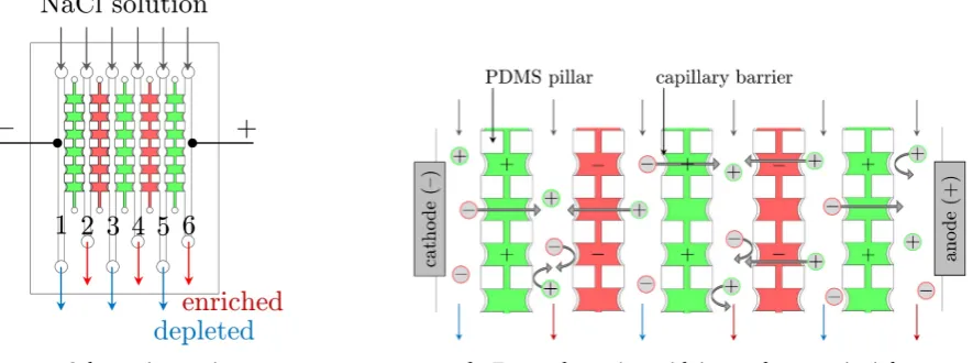 Figure 3.1: Schematic representation of microﬂuidic device [1].