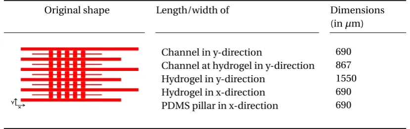 Table 3.1: Schematic representation of micro chip with dimensions.