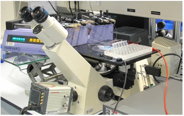 Figure 3.2: Set-up for the experiments.