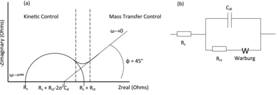 Figure 3.3: (a) Complex plane plot for semi-inﬁnite linear diffusion model, and (b) Randless circuit[15].