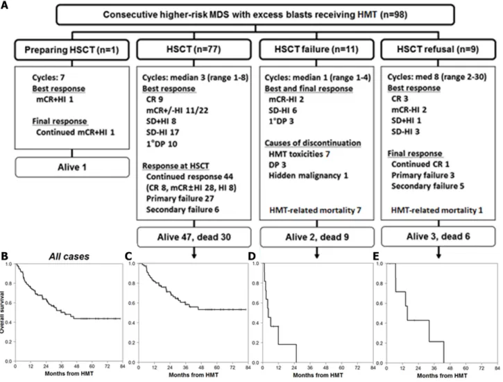 Figure 1: Response and survival from HMT initiation in higher-risk MDS patients with excess blasts