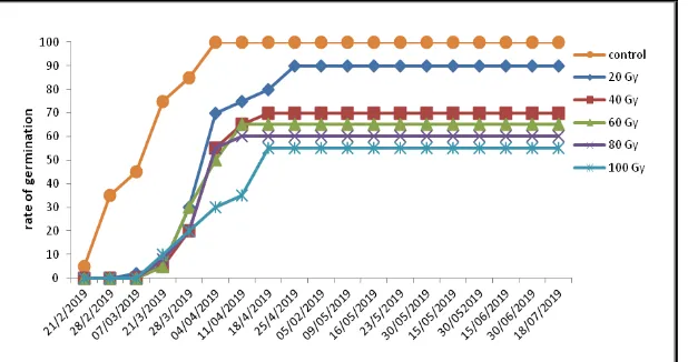 Fig 1. Cumulative rate of growing of Achmrar fig variety and irradiated with increased doses (20-40-60-80 and 100 Grays)   