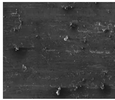 Figure 8 - SEM image of Sample 2 