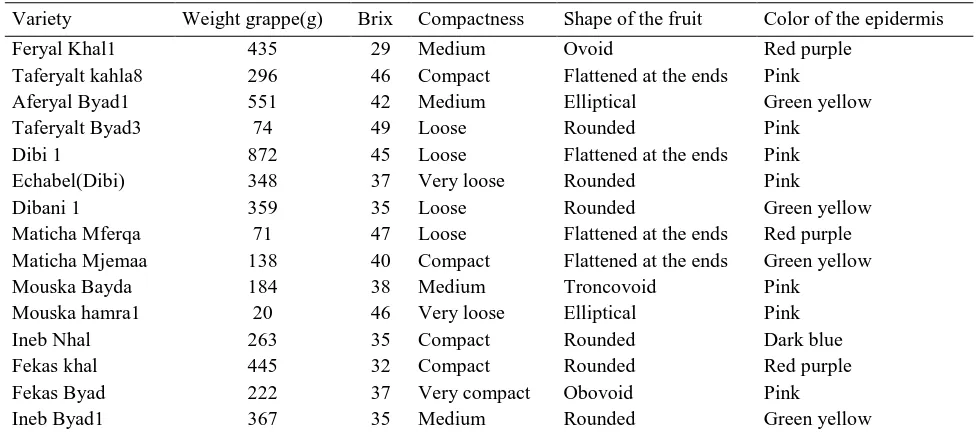 Table 1: Location of prospecting sites 