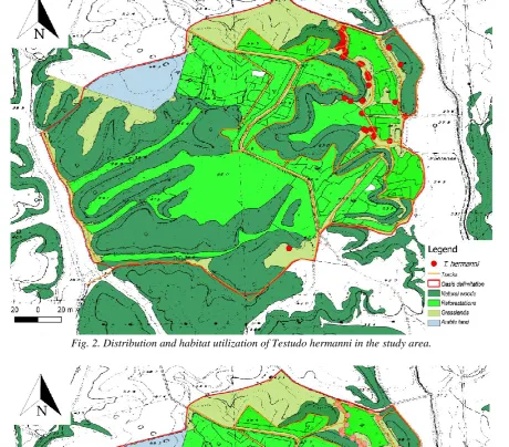 Fig. 2. Distribution and habitat utilization of Testudo hermanni in the study area. 