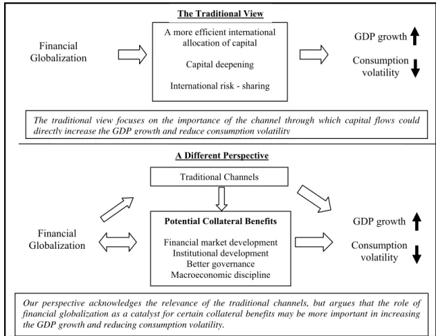 Figure 1: Two views regarding the Impact of Financial Globalization on Developing Countries 2 