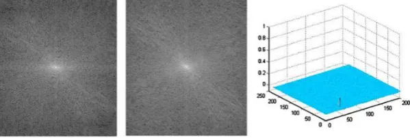 Figure 16:  Source images with displacement between them [18].  