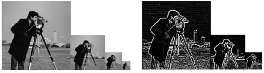 Figure 21 (Left): Low-pass pyramid [50]. Figure 22 (Right): Band-pass pyramid [50]. 