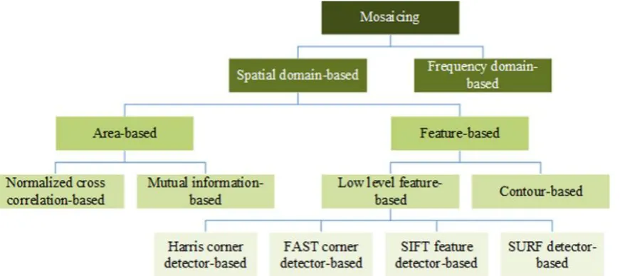 Figure 3: Mosaicing based on registration grouping and classification  