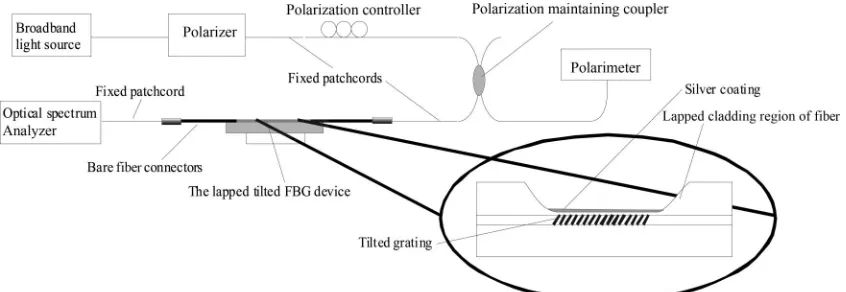Fig. 1.Scheme used for the characterization of the tilted, lapped and coated ﬁber Bragg grating device.
