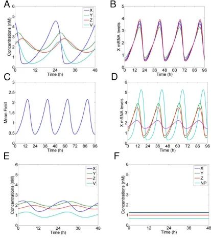 Figure 2Neurotransmitter can drive oscillations at the single neuron levelusing the optimal parameter set