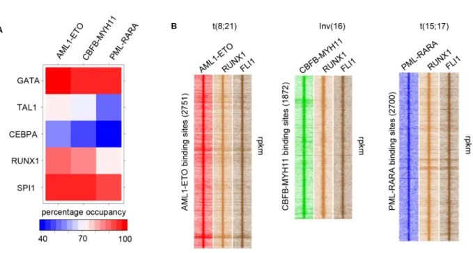 Figure 2: Oncofusion binding sites are demarcated by RUNX1 and members of the ETS factor family