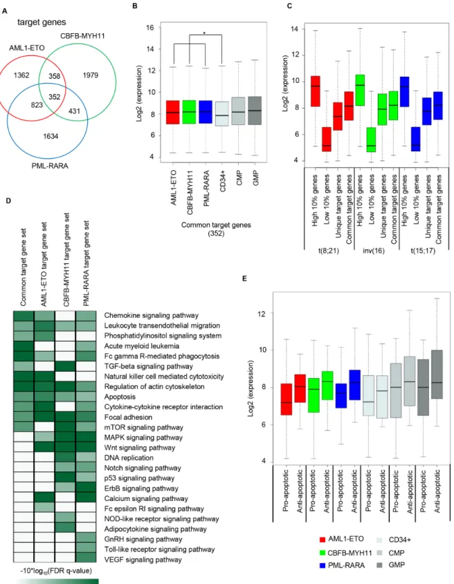 Figure 3: Expression of oncofusion target genes.  A. Venn diagram representing overlap between the target genes of AML1-ETO,  CBFB-MYH11 and PML-RARA