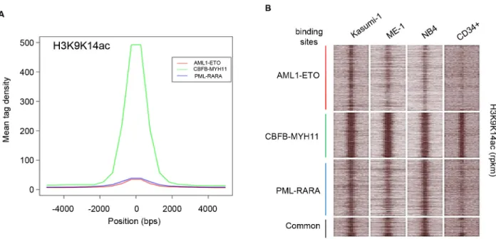 Figure 5: Histone H3 acetylation at AML1-ETO, CBFB-MYH11 and PML-RARA binding sites.  A
