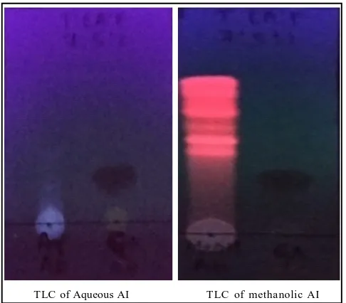 Figure 3(a): TLC of aqueous and methanolic AI extract comparedwith standard quercetin.