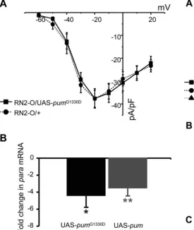 Figure 5.Pumilio is the limiting factor inmeansrespectively. For para repression. A, Overexpression of either UAS-nanos or UAS-brat in aCC/RP2 motoneurons (using RN2-O-GAL4) does not affect INa