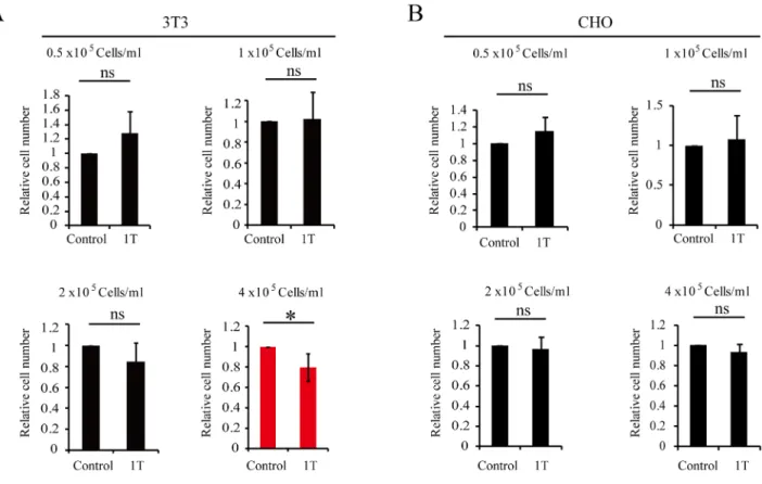 Figure 4: 1 T SMF reduces NIH-3T3 cell number but has minimal effects on CHO cells.  NIH-3T3 and CHO cells were 