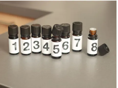 Figure 2. Different scents in bottles. Each number means a different scent: (1) coffee; (2) cinnamon; (3) honey; (4) coconut; (5) vanilla; (6) orange; (7) strawberry; (8) green apple