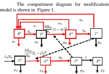 Figure 1: The diagram of modified dengue transmission  model (adopted from [7] and [8])