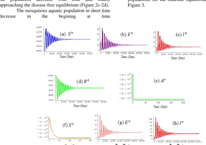 Figure 3:  The dynamics of human populations and the population dynamics of mosquitoes for the endemic equilibrium   