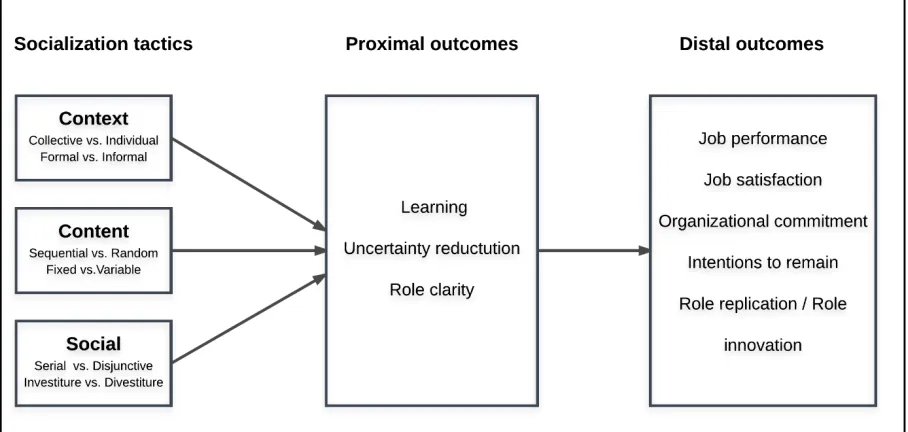 Figure 1. Conceptualization of socialization tactics (Jones, 1986) and most important outcomes (Bauer et al., 2007; Perrot et al., 2012; A.M