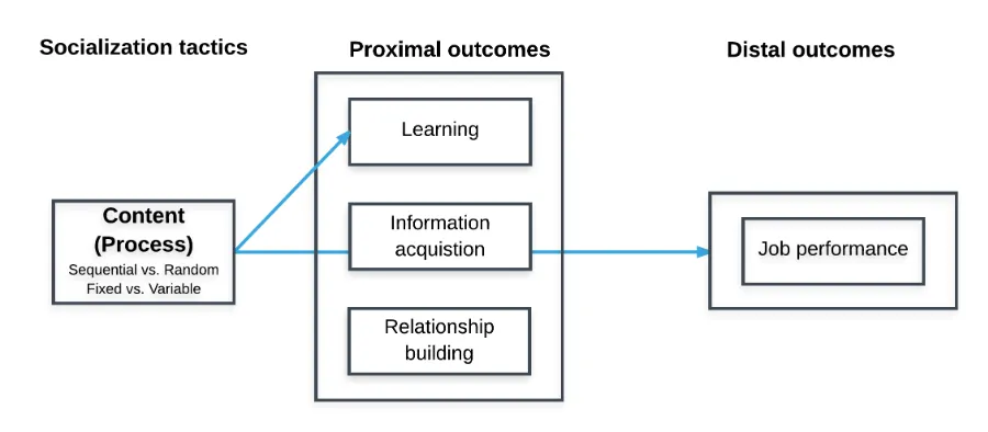 Figure 4. Content tactics affect the outcomes learning and job performance.  